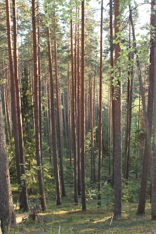 Hotel Kruunupuisto Punkaharju Buitenkant foto
