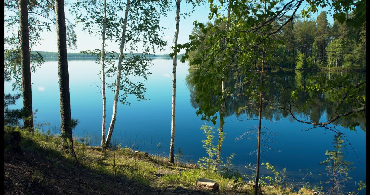 Hotel Kruunupuisto Punkaharju Buitenkant foto