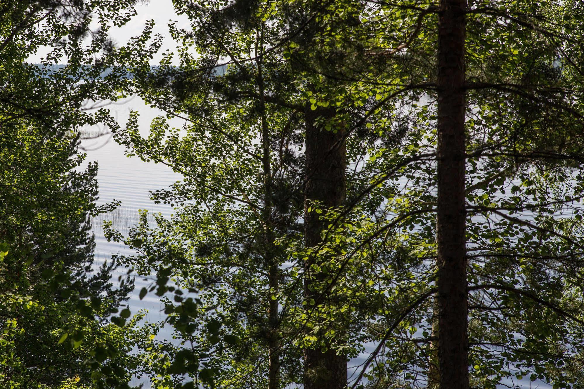 Hotel Kruunupuisto Punkaharju Buitenkant foto